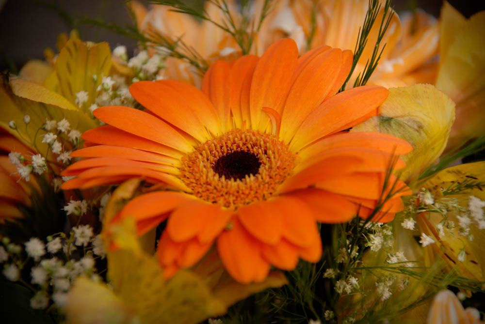 wedding, engagement, romance photography