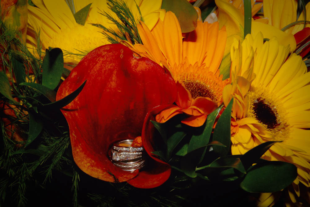 wedding, engagement, romance photography