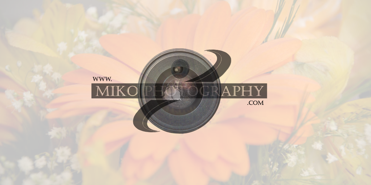 Miko Photography in Calgary